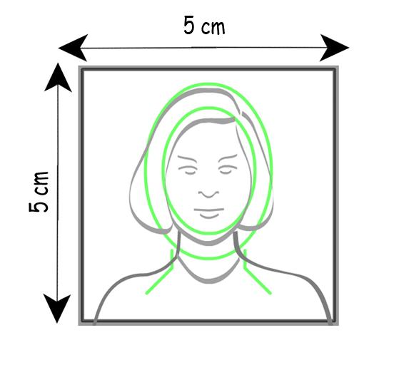 Visas pour USA IndeCanada Mexique